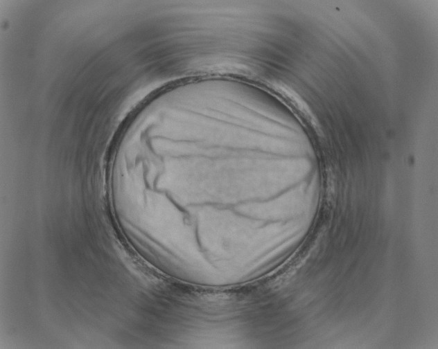 X0000088381031200706191303