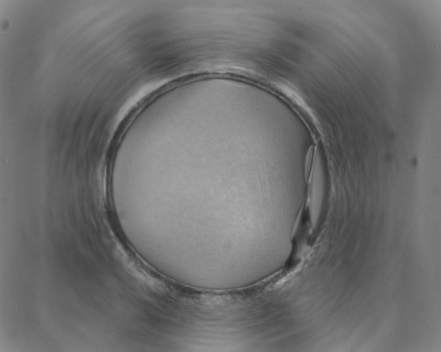 X0000088381032200706191303