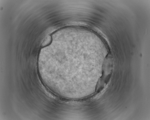 X0000088381033200706191303