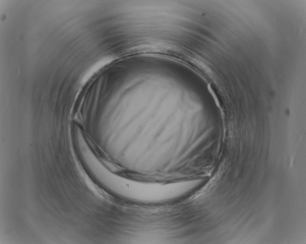 X0000088381034200706191303