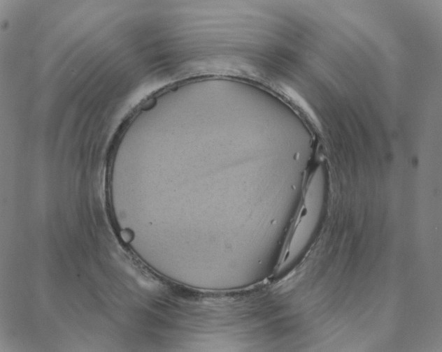 X0000088381035200706191303