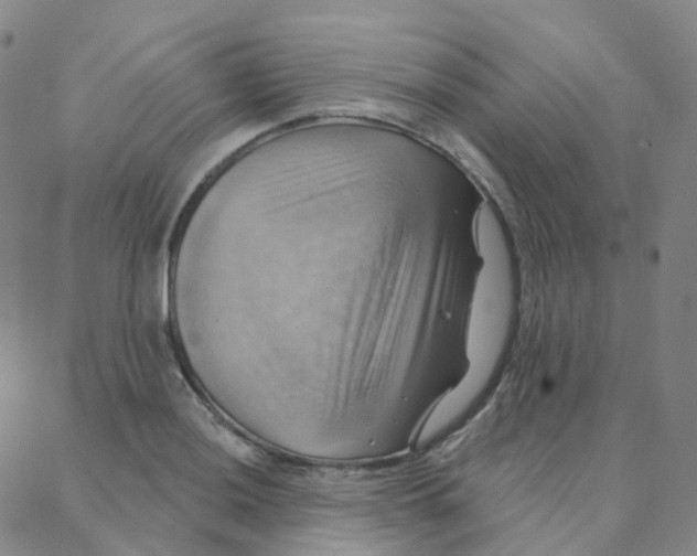 X0000088381036200706191303