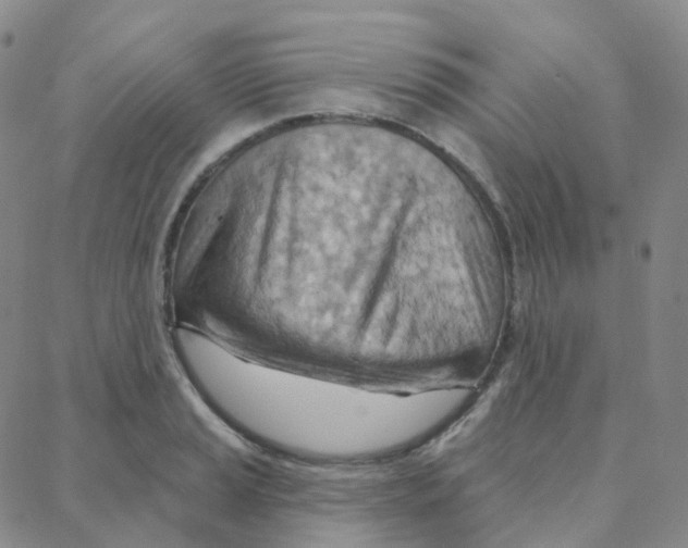 X0000088381037200706191303