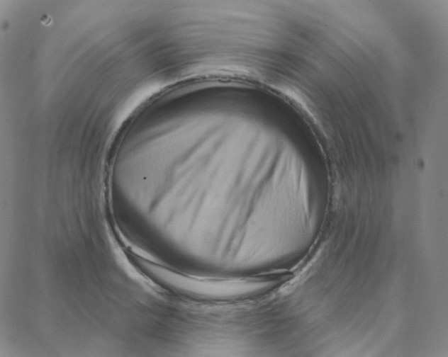 X0000088381038200706191303