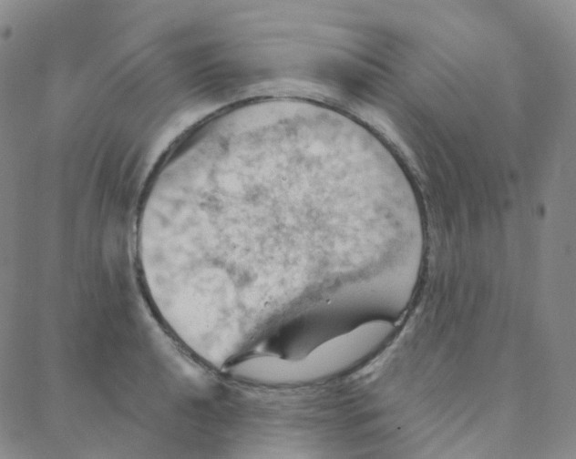 X0000088381040200706191303