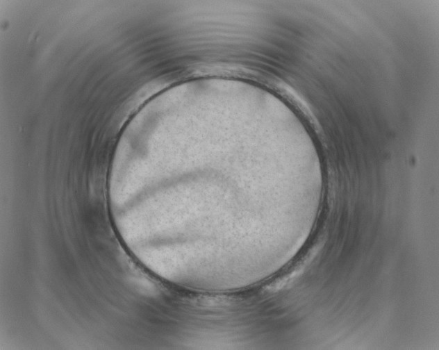 X0000088381041200706191303