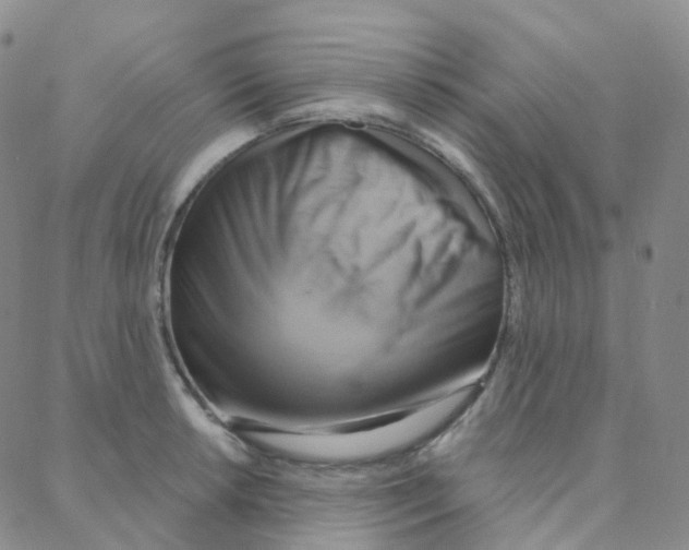 X0000088381042200706191303