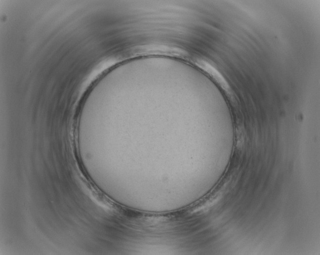 X0000088381043200706191303