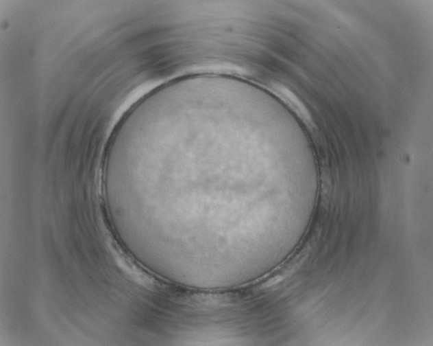 X0000088381044200706191303