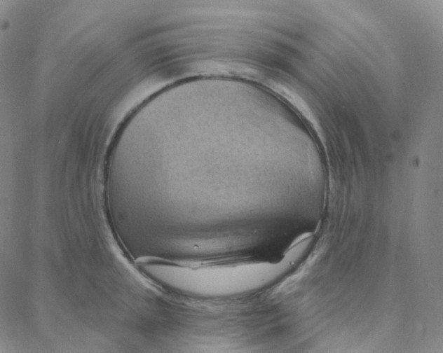 X0000088381045200706191303