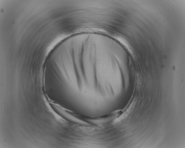 X0000088381046200706191303