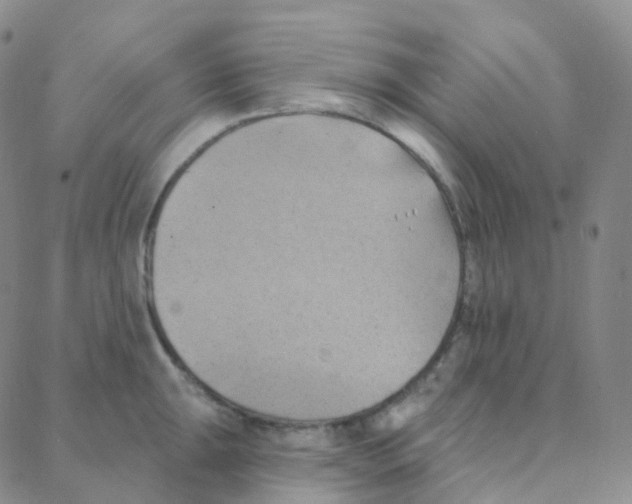 X0000088381047200706191303