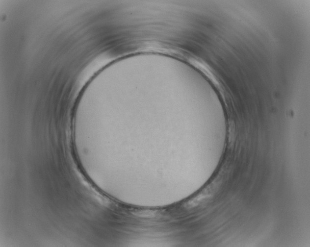 X0000088381048200706191303