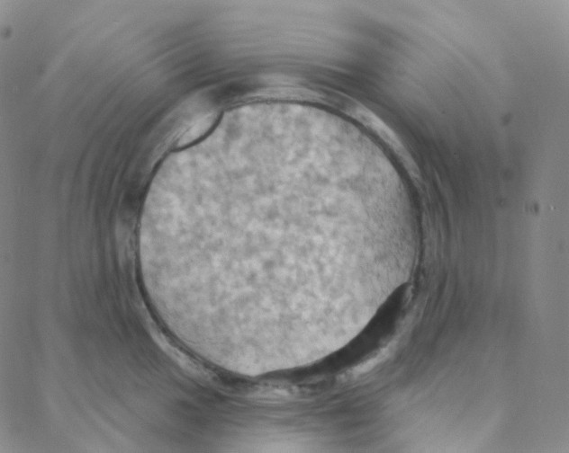 X0000088381049200706191303