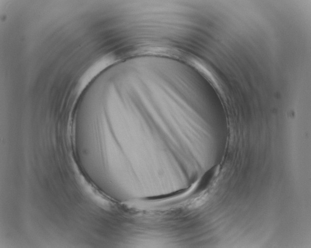 X0000088381050200706191303