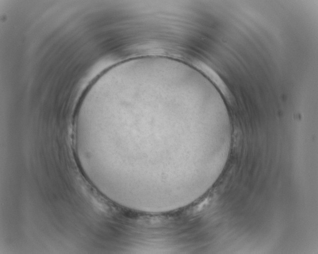 X0000088381051200706191303