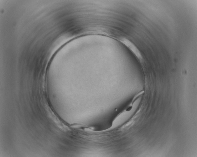 X0000088381052200706191303