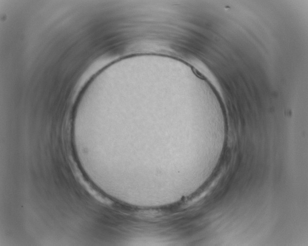 X0000088381053200706191303