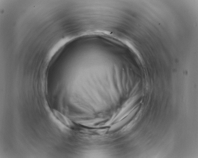 X0000088381054200706191303