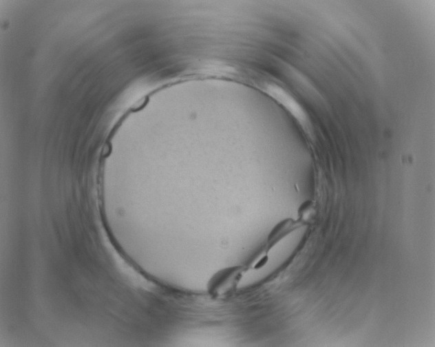 X0000088381055200706191303