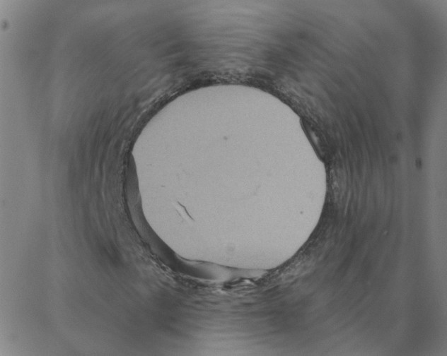 X0000088381057200706191302