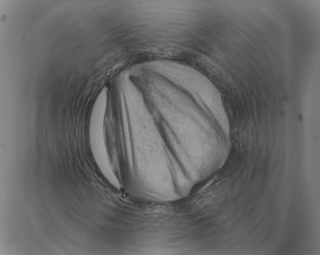 X0000088381058200706191302