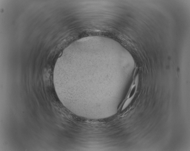 X0000088381059200706191302