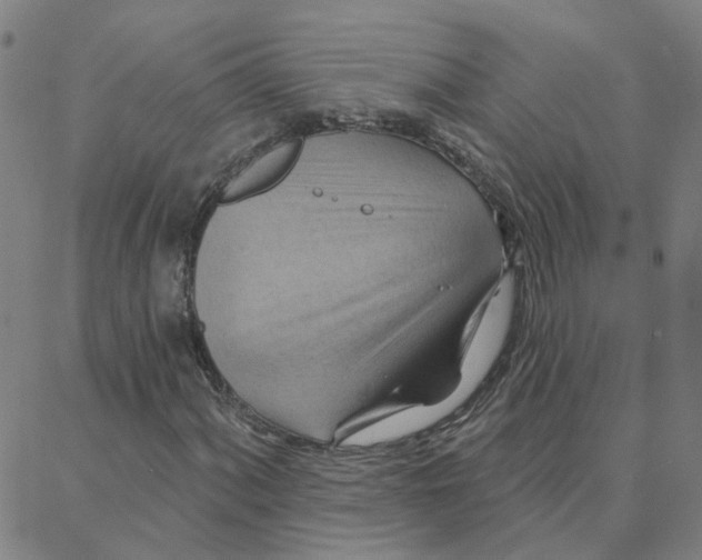 X0000088381060200706191302