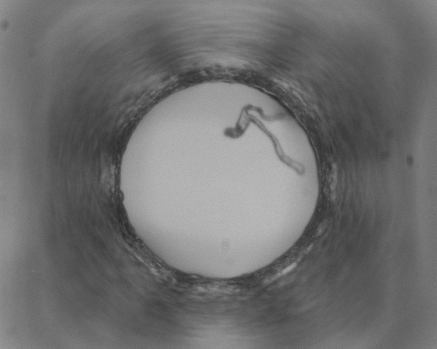 X0000088381061200706191302