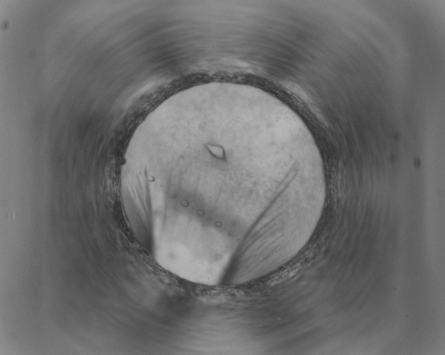 X0000088381063200706191302