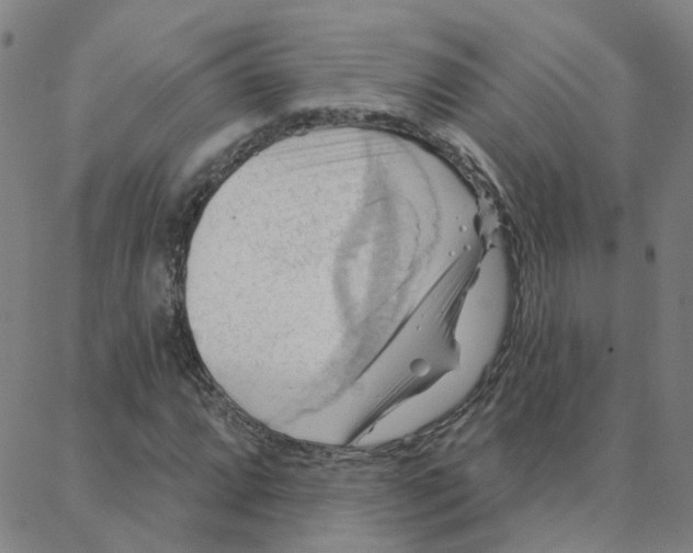 X0000088381064200706191302