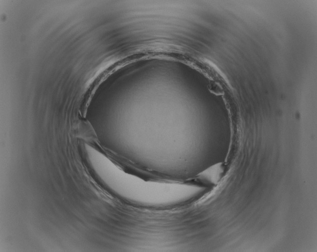 X0000088381065200706191302