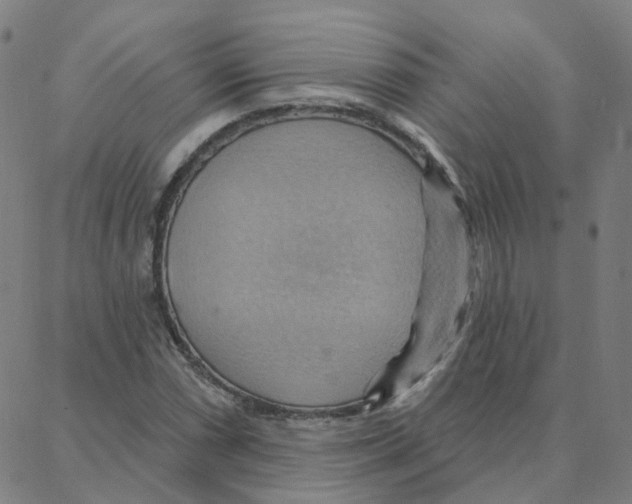 X0000088381066200706191302