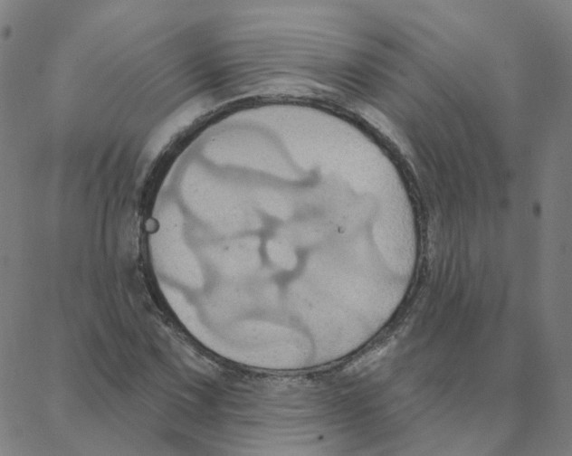 X0000088381067200706191302