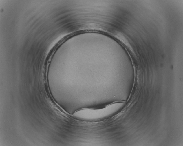 X0000088381068200706191302