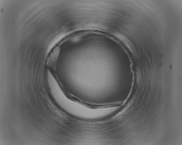 X0000088381069200706191302