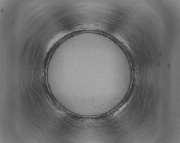 X0000088381070200706191302