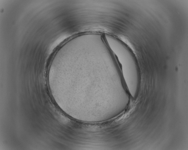 X0000088381071200706191302