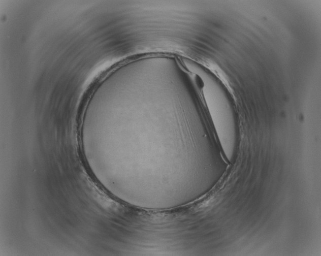 X0000088381072200706191302