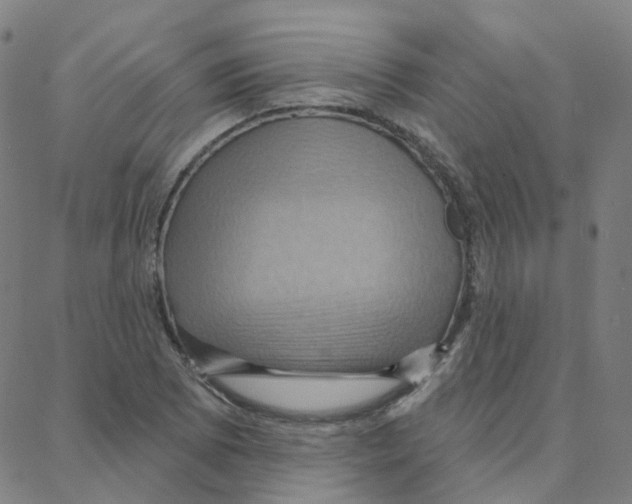 X0000088381073200706191302