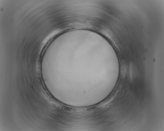 X0000088381074200706191302