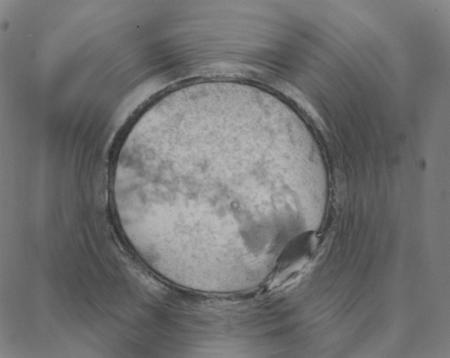 X0000088381075200706191302