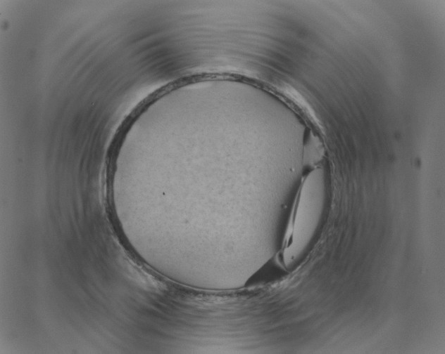 X0000088381076200706191302