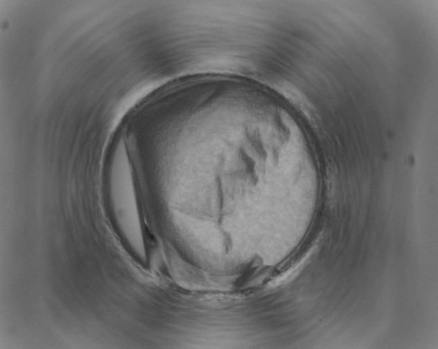 X0000088381077200706191302