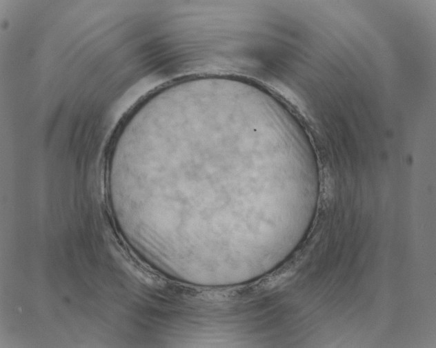 X0000088381078200706191302