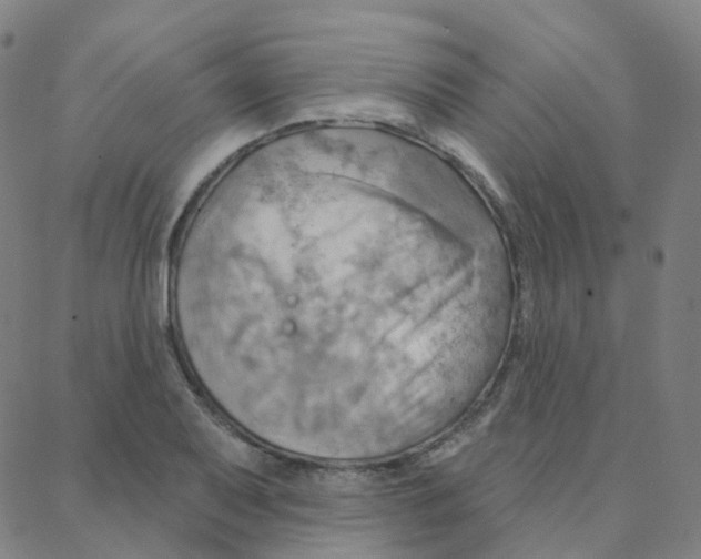 X0000088381079200706191302