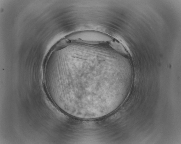 X0000088381080200706191302