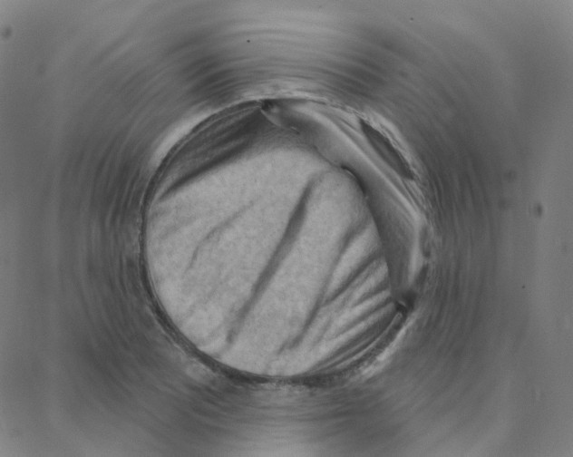 X0000088381081200706191302