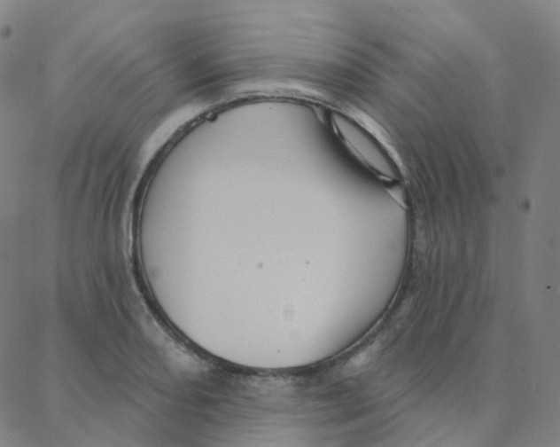 X0000088381082200706191302