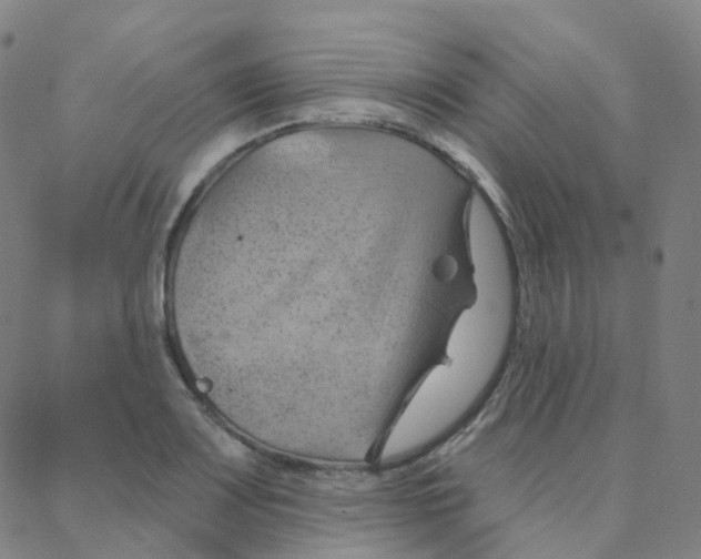 X0000088381083200706191302